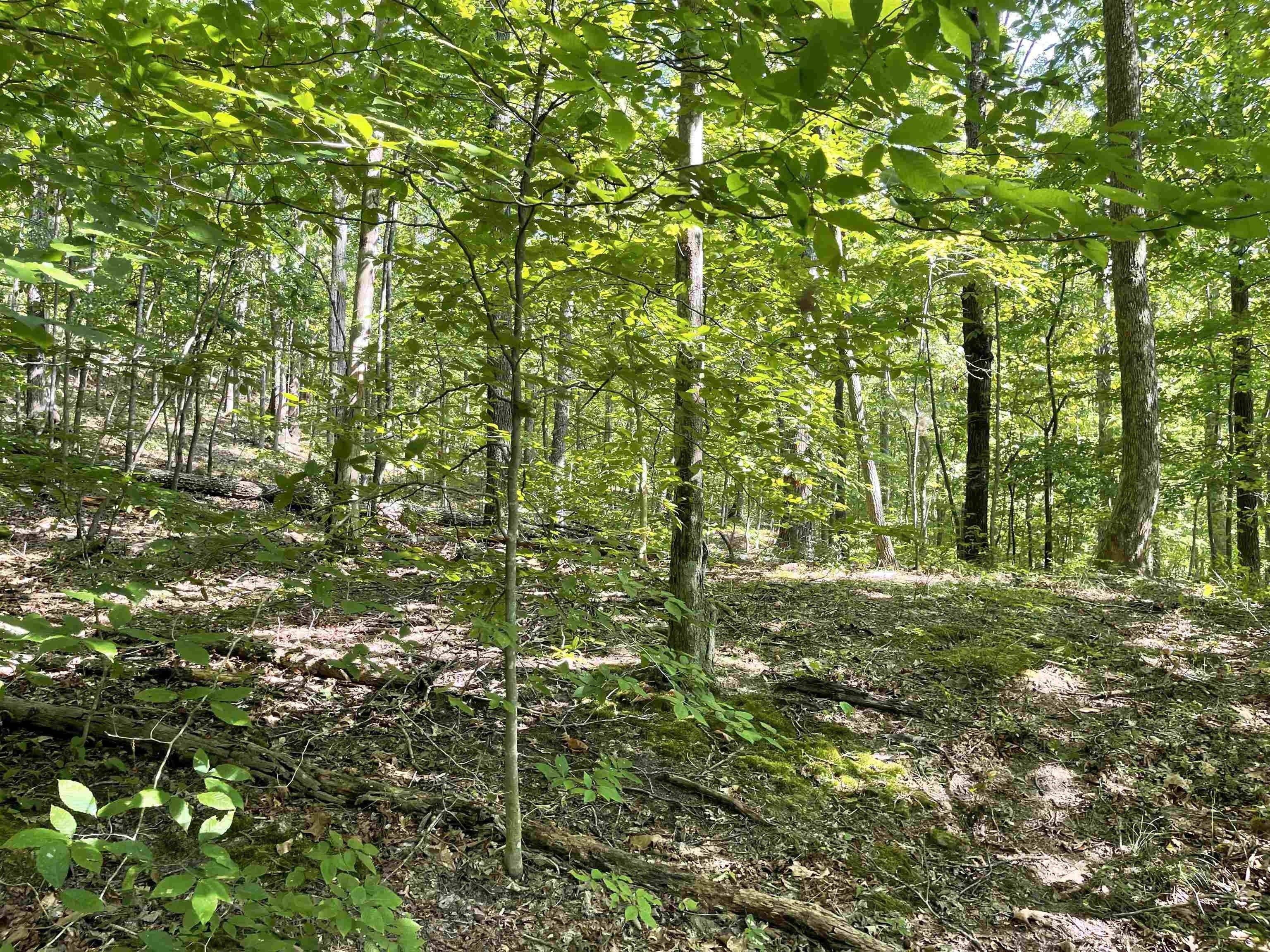 Genoa, Wayne County, WV for sale Property ID 417089292 LandWatch