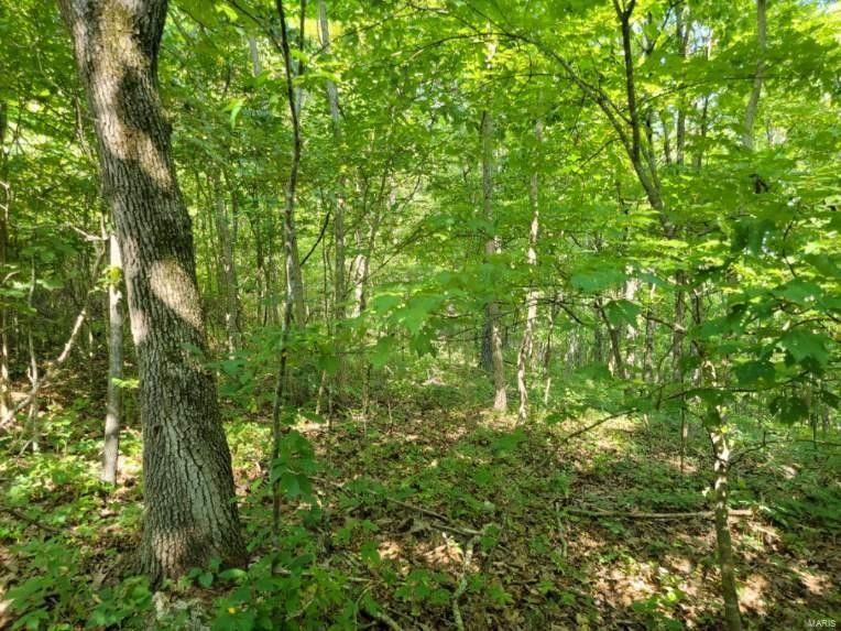 Ellington, Reynolds County, MO Farms and Ranches for sale Property ID