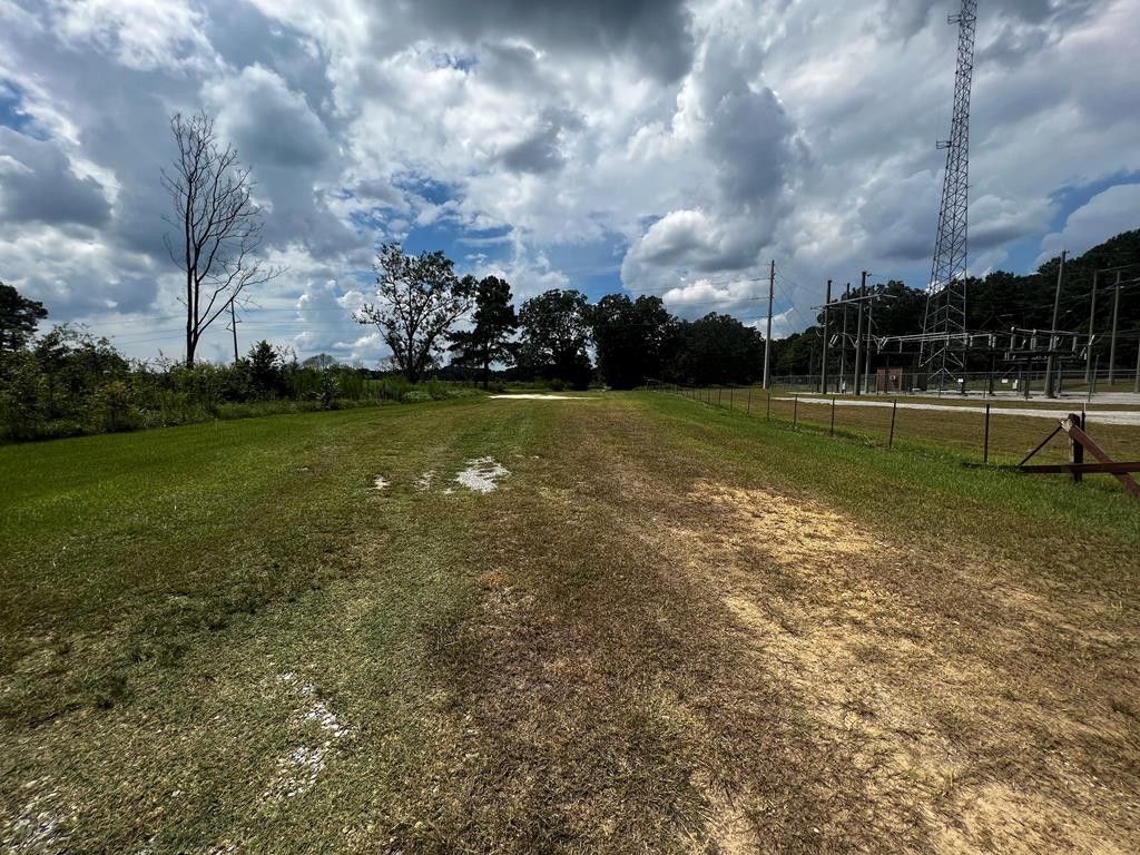 Luverne, Crenshaw County, AL Undeveloped Land for sale Property ID