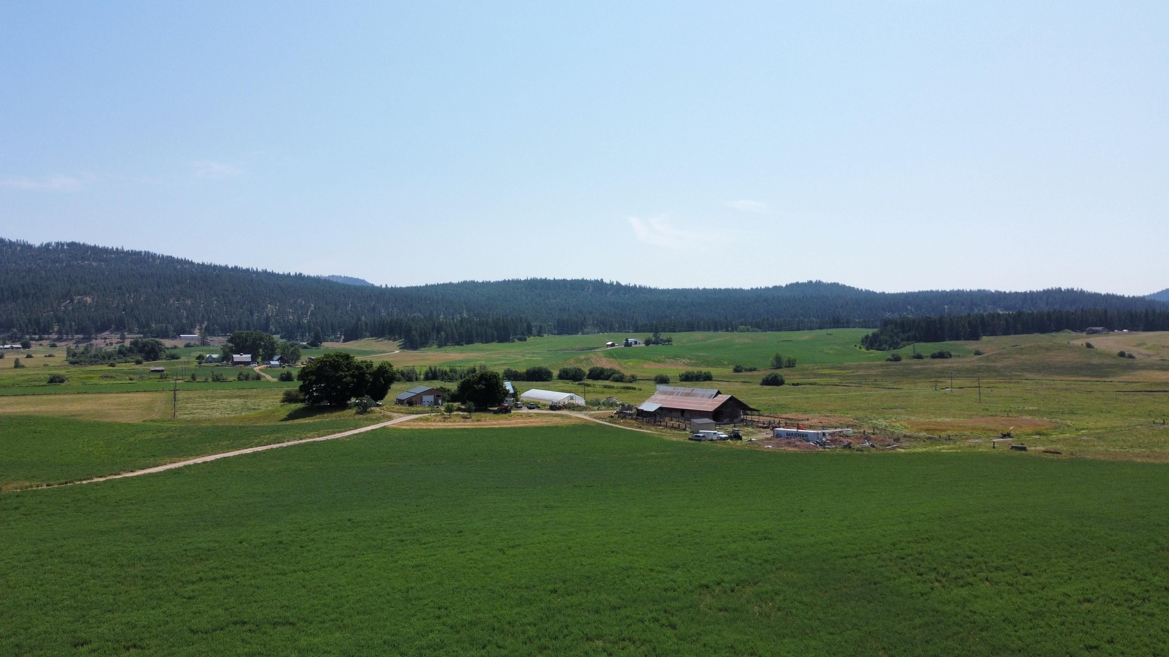 Valley, Stevens County, WA Farms and Ranches, Timberland Property