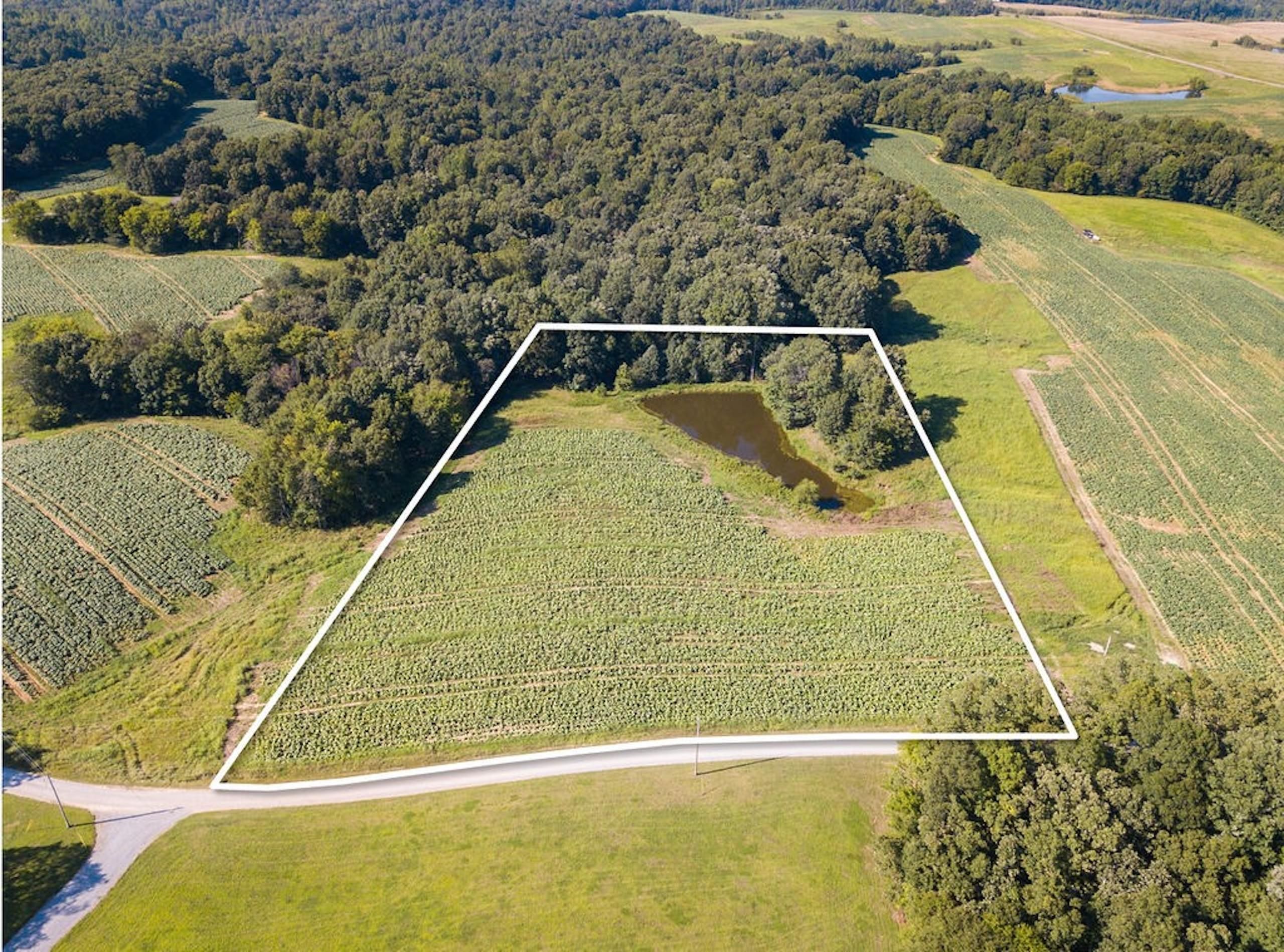 Indian Mound, Stewart County, TN Recreational Property, Undeveloped