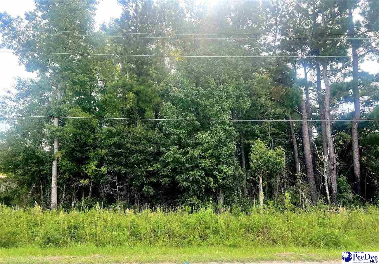 Kingstree, Williamsburg County, SC Undeveloped Land, Homesites for sale