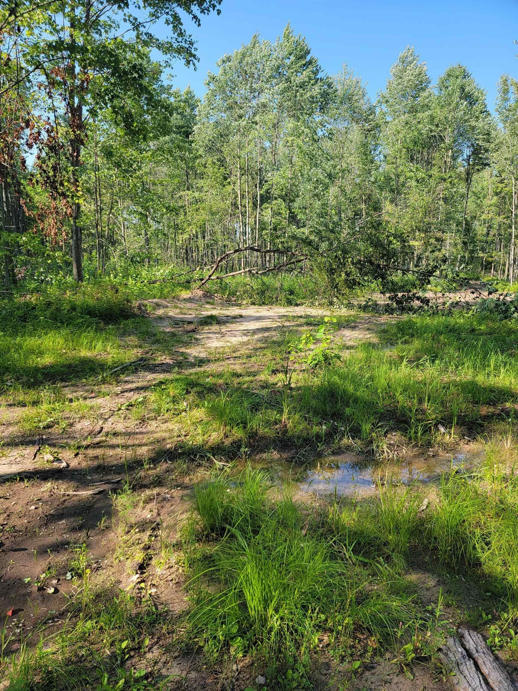 Lake, Clare County, MI Undeveloped Land for sale Property ID 417507225