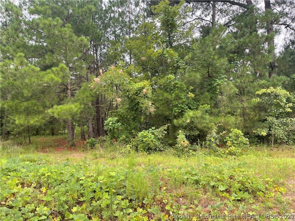 Raeford, Hoke County, NC Undeveloped Land, Homesites for sale Property