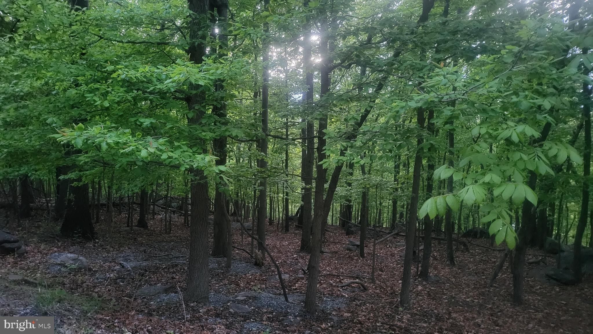 Harpers Ferry, Jefferson County, WV Undeveloped Land, Homesites for
