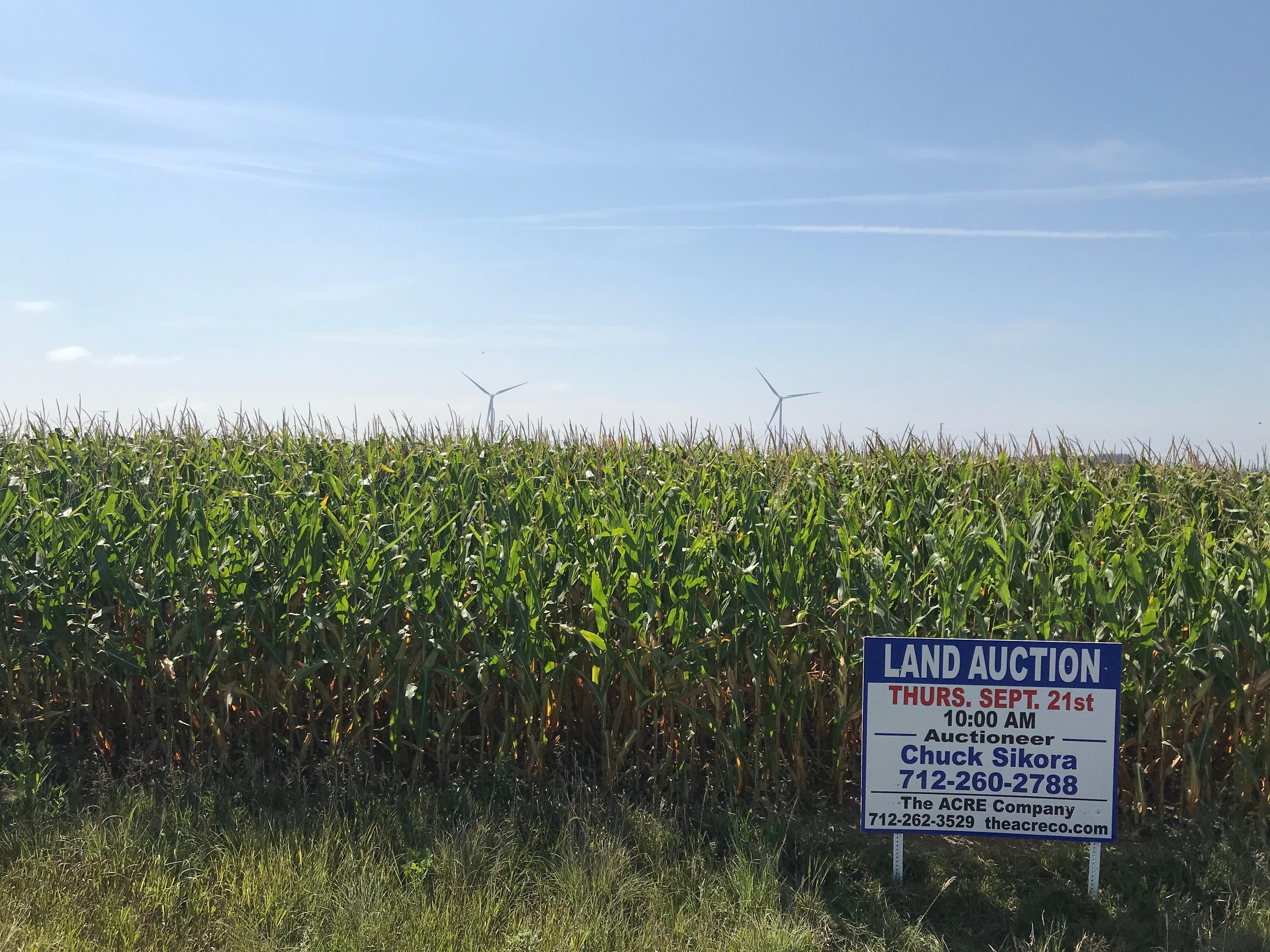 Emmetsburg, Palo Alto County, IA Farms and Ranches for auction Property