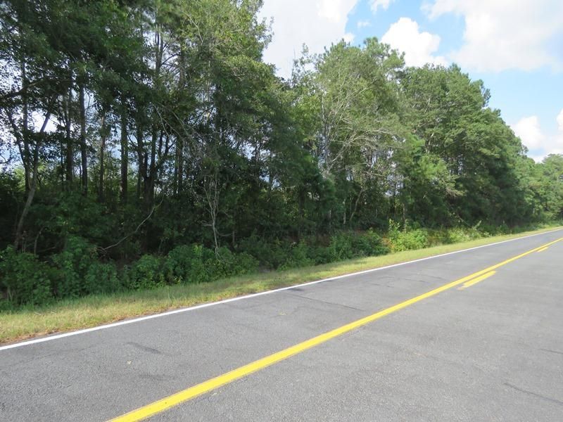 Saint Pauls, Robeson County, NC Recreational Property, Timberland
