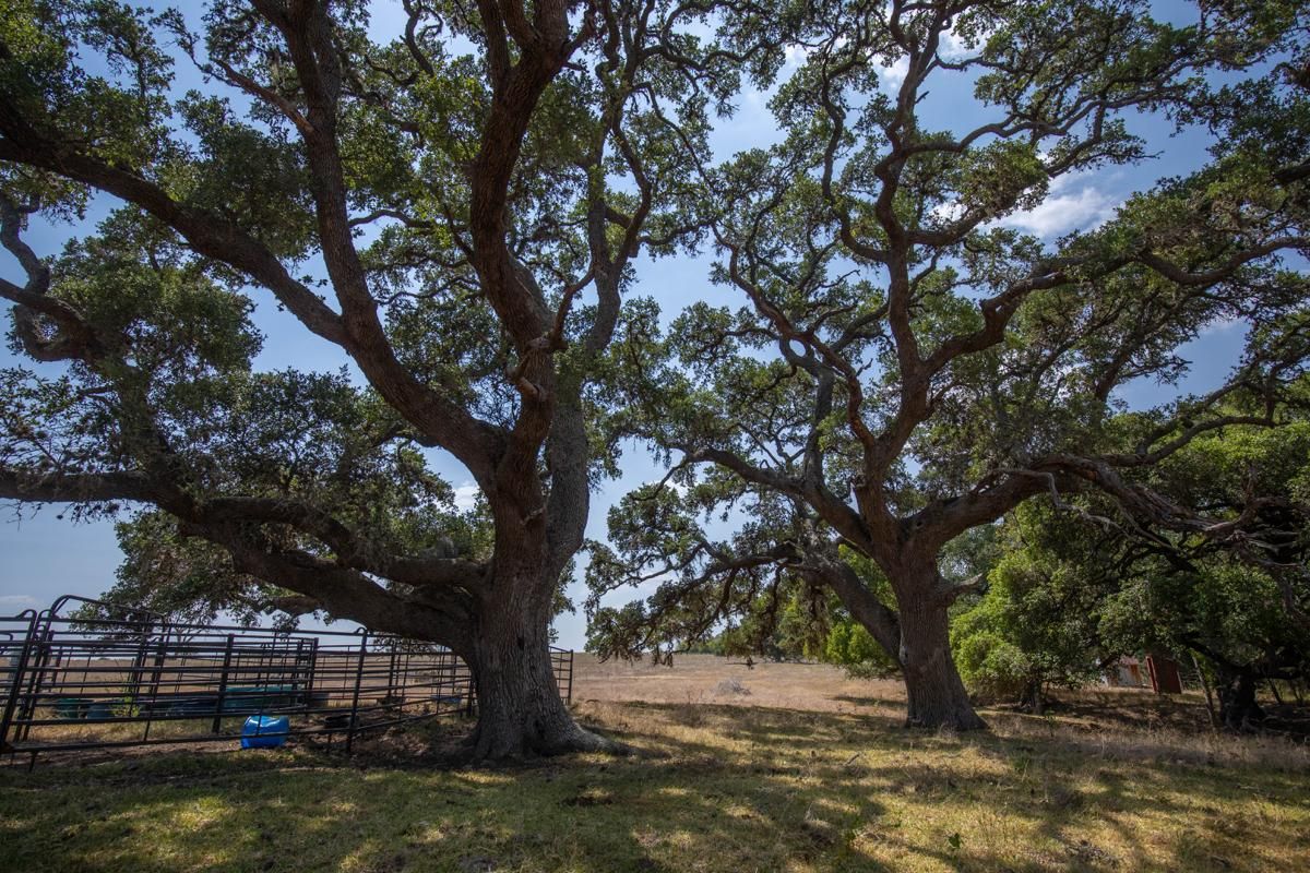 Hallettsville, Lavaca County, TX Farms and Ranches, Recreational