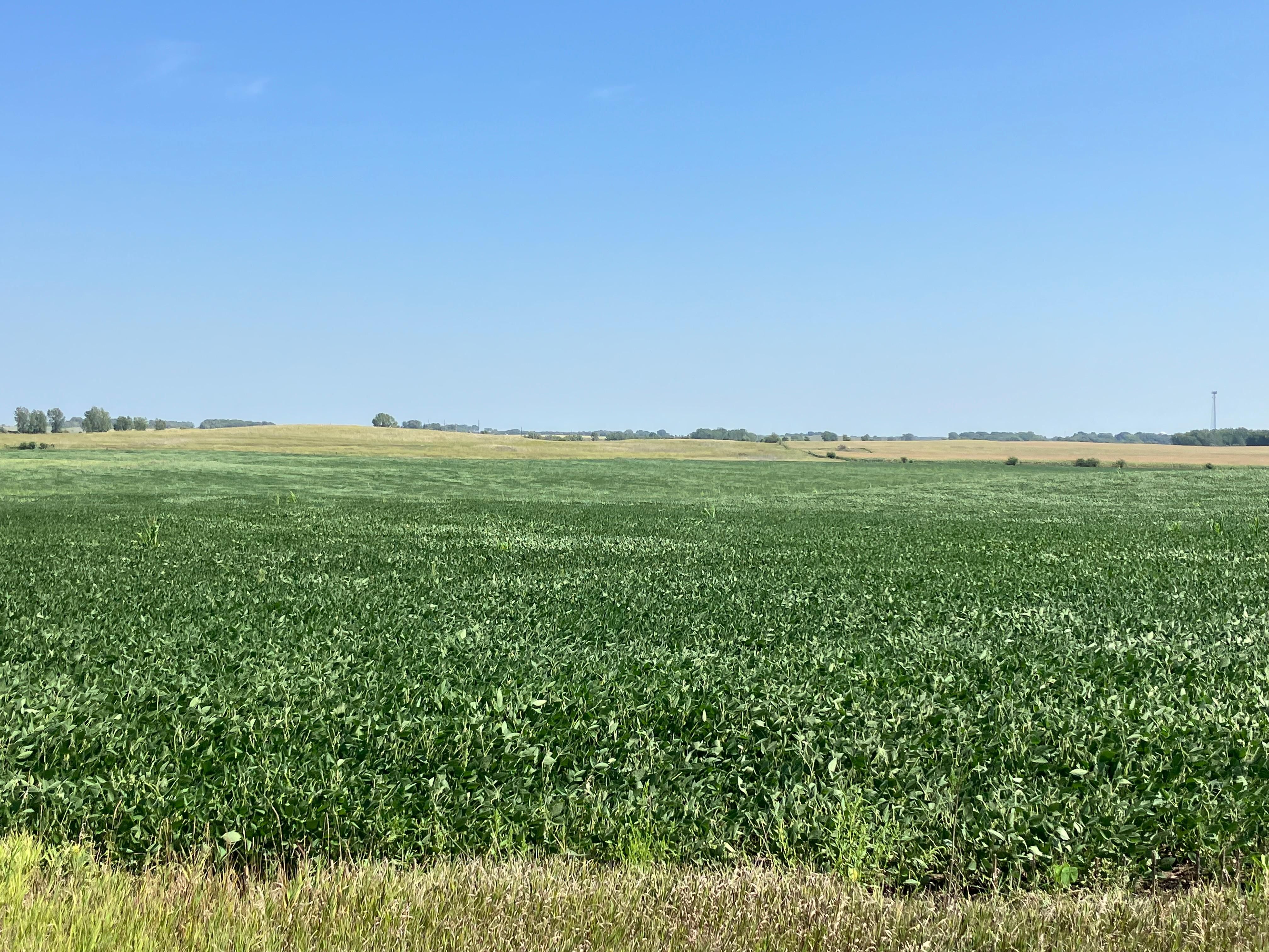 Montgomery, Dickinson County, IA Farms and Ranches for sale Property ID