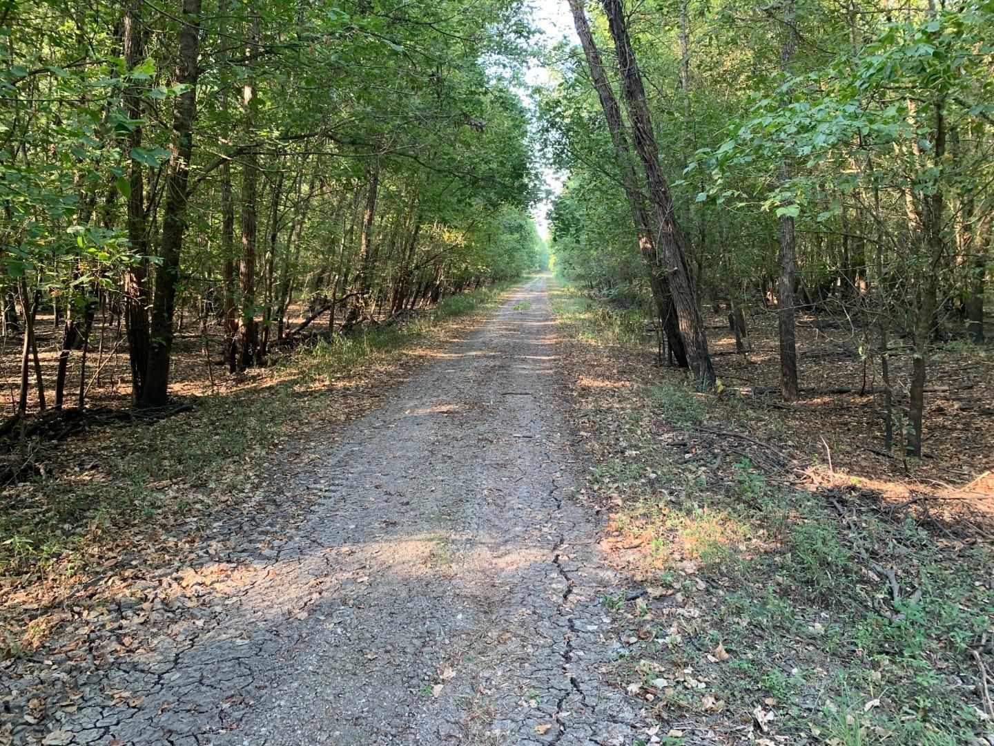 65 acres in Boxelder, TX, 75550 LandWatch