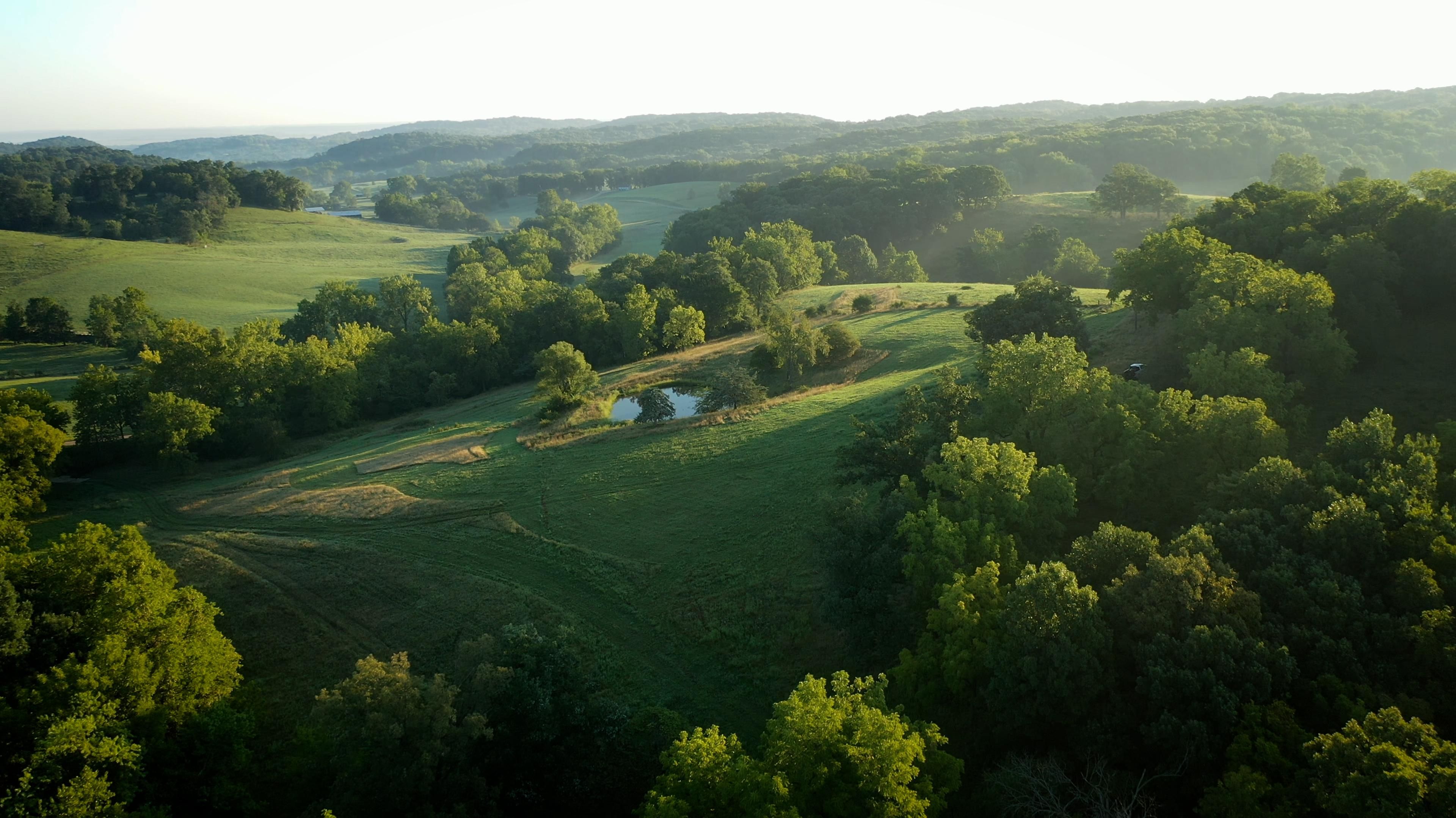 New London, Ralls County, MO Farms and Ranches for sale Property ID