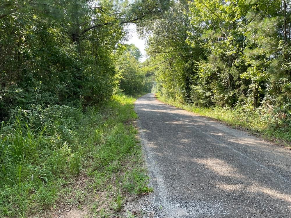Dadeville, Tallapoosa County, AL Timberland Property for sale Property
