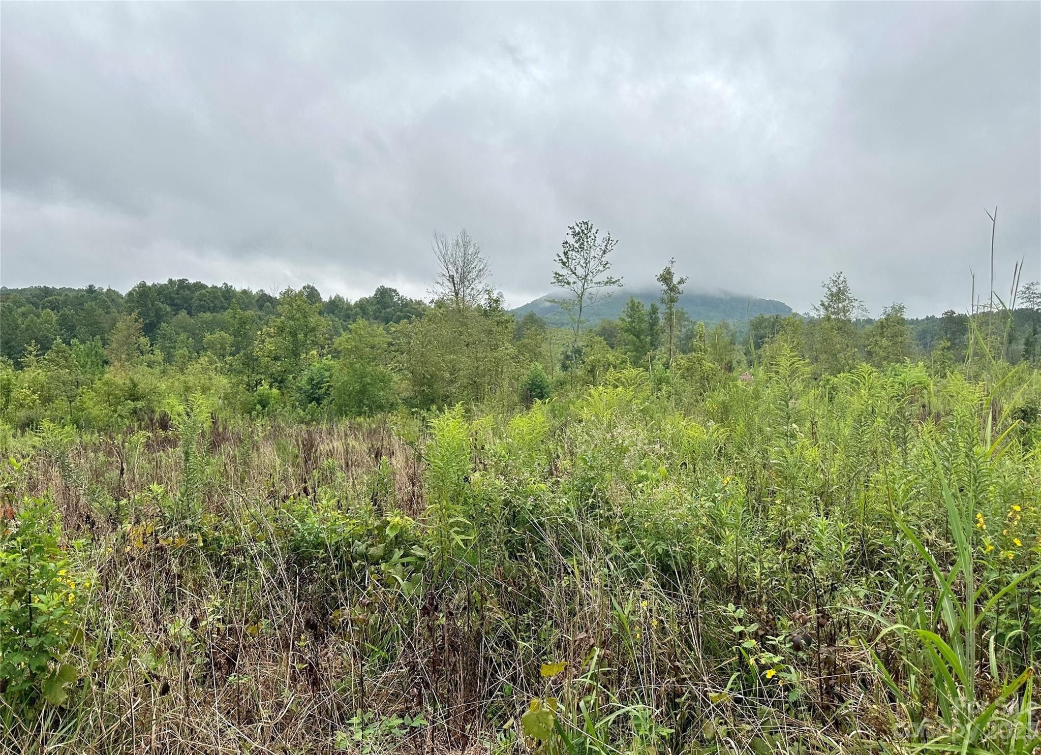 00 Dysartsville Road, Nebo, NC 28761 MLS 4065043 LandWatch
