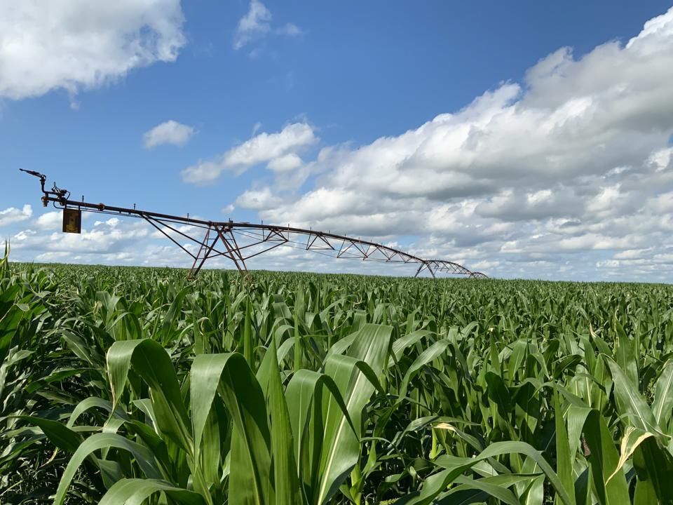 654.33 acres in Alpena, SD, 57312 LandWatch