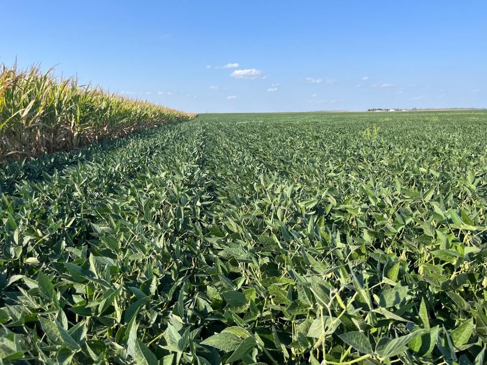 Arnold, Humboldt County, IA Farms and Ranches for auction Property ID