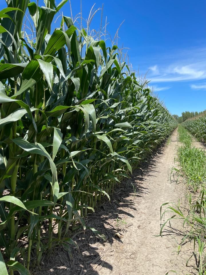Fort Calhoun, Washington County, NE Farms and Ranches for auction