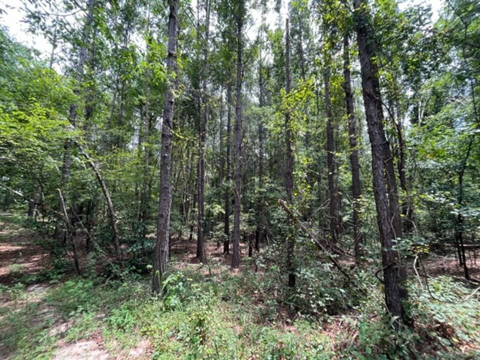 Tupelo, Lee County, MS Recreational Property, Timberland Property for