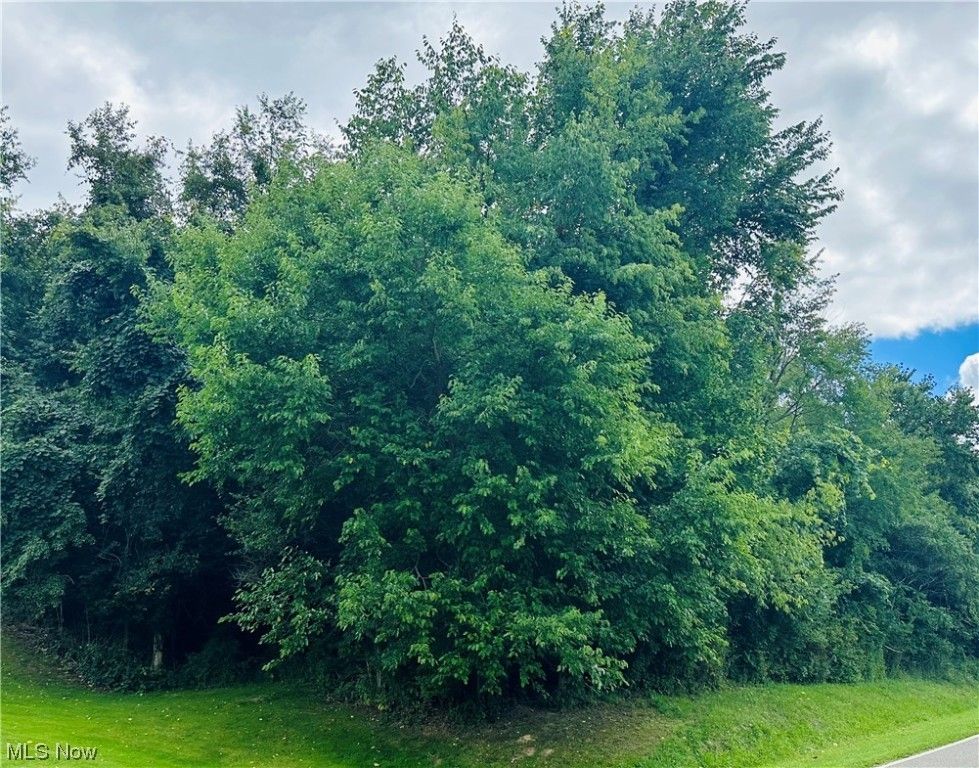 Dillonvale, Jefferson County, OH Undeveloped Land for sale Property ID