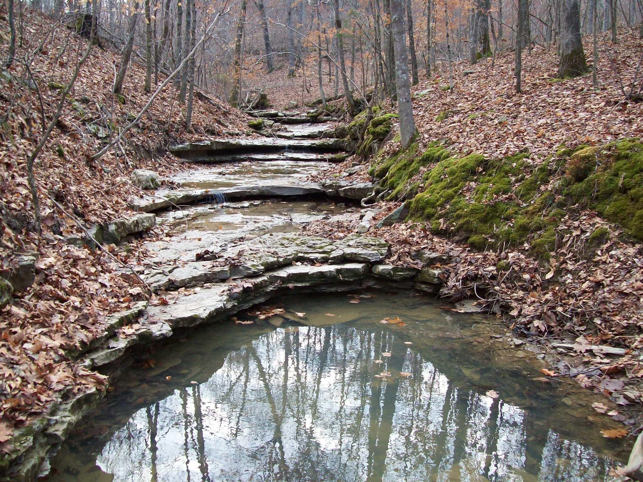 Coal Creek Rd, Hopkinsville, KY 42240 LandWatch