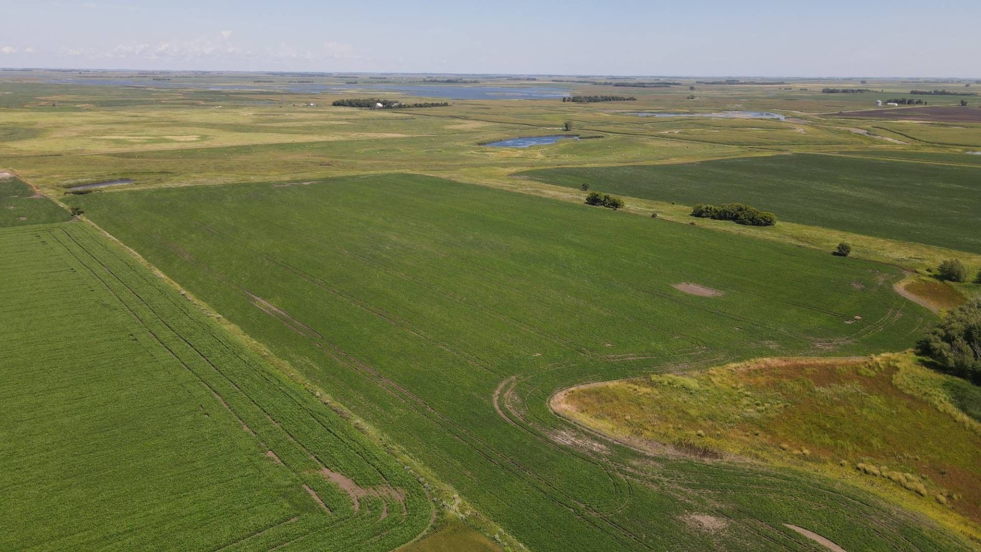 Marion, LaMoure County, ND Undeveloped Land for sale Property ID