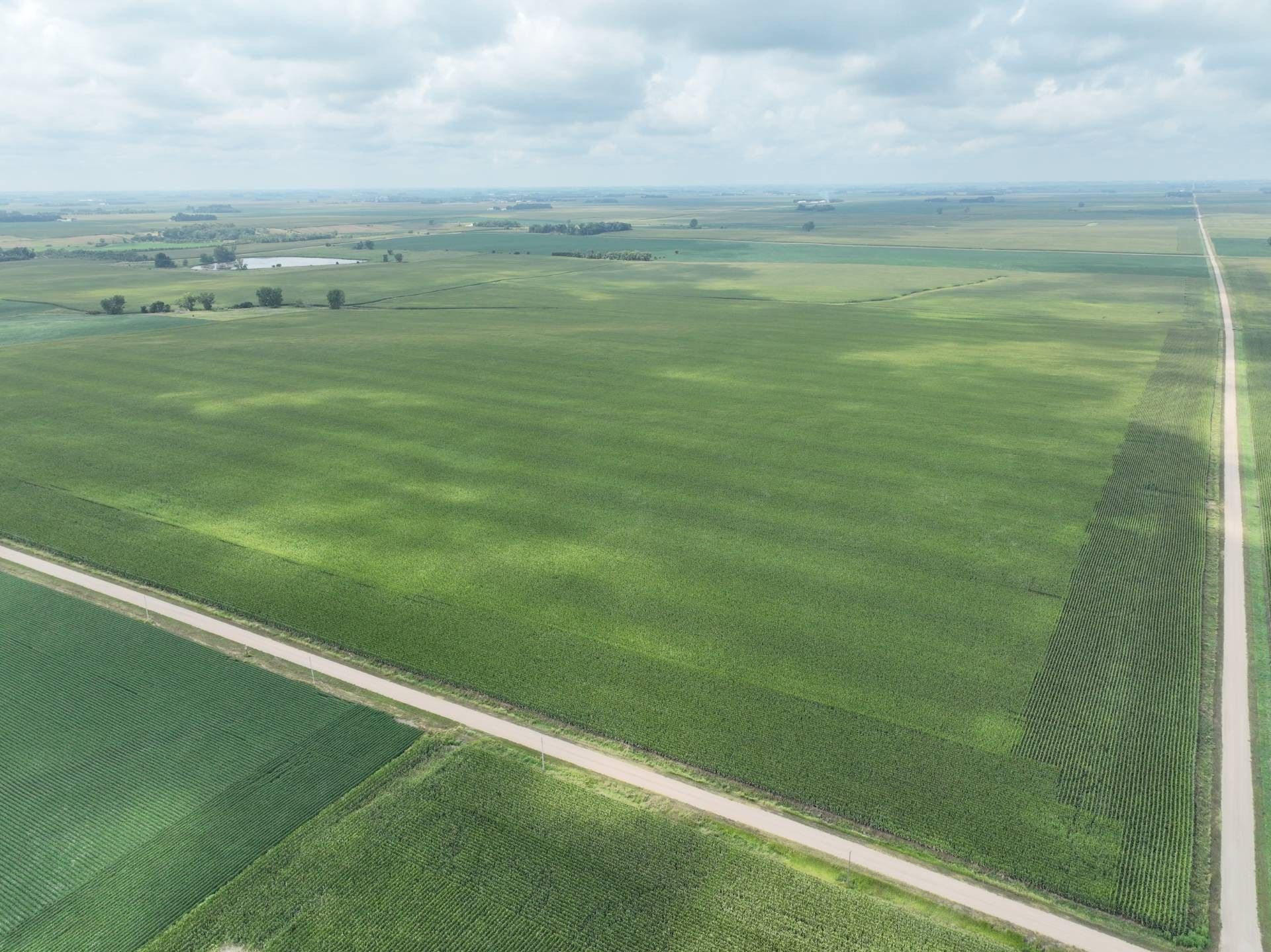 Slayton, Murray County, MN Undeveloped Land for sale Property ID