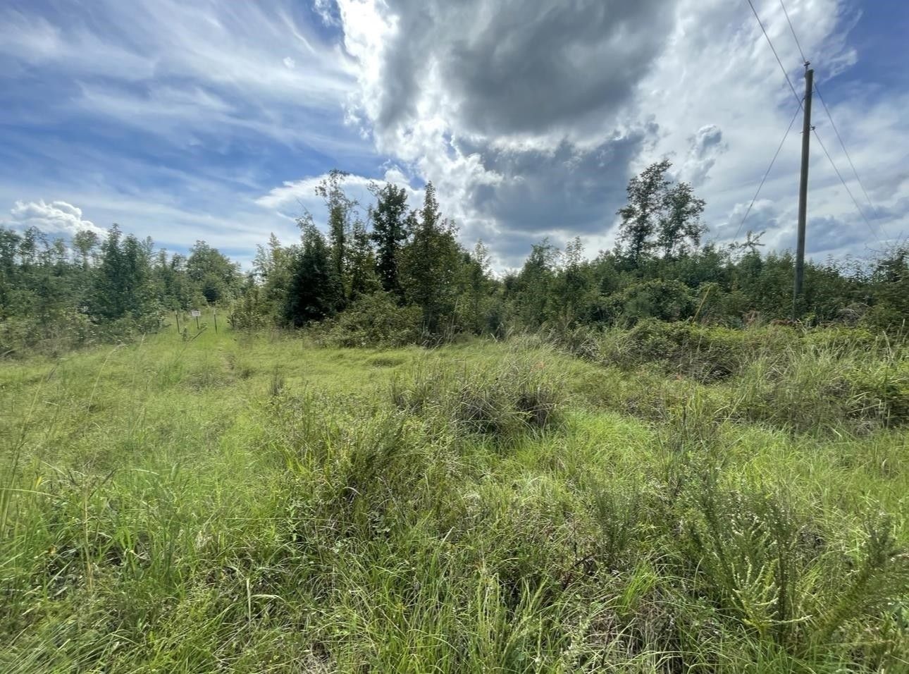 Keysville, Burke County, GA Farms and Ranches for sale Property ID