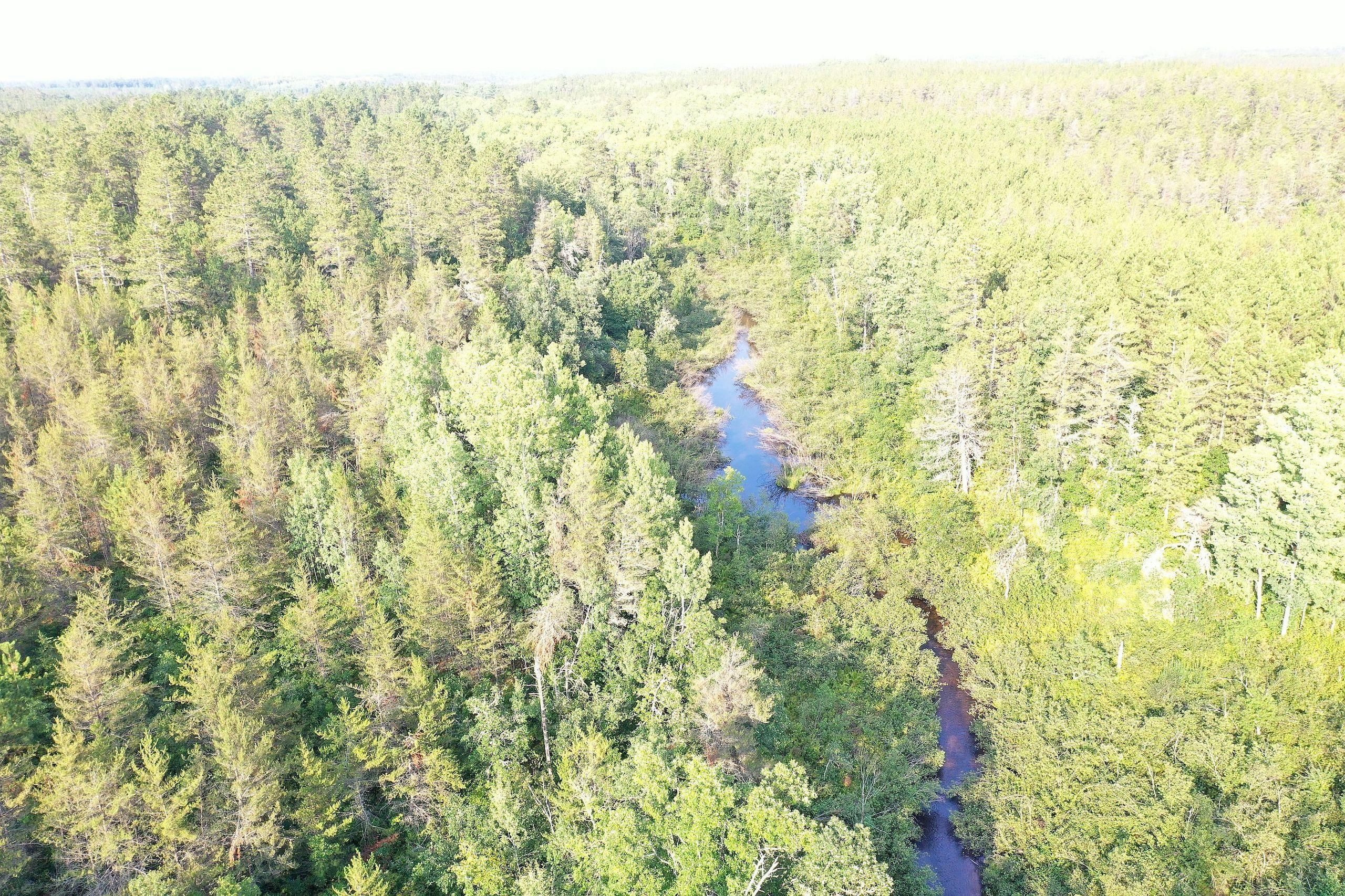 Minong, Washburn County, WI Recreational Property, Timberland Property