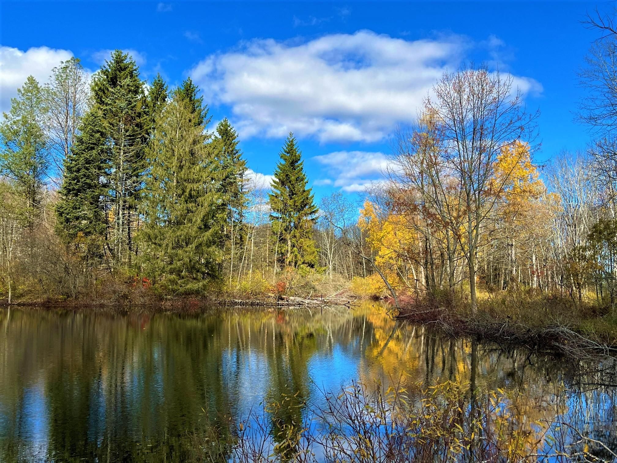 Cherry Creek, Chautauqua County, NY Recreational Property, Timberland