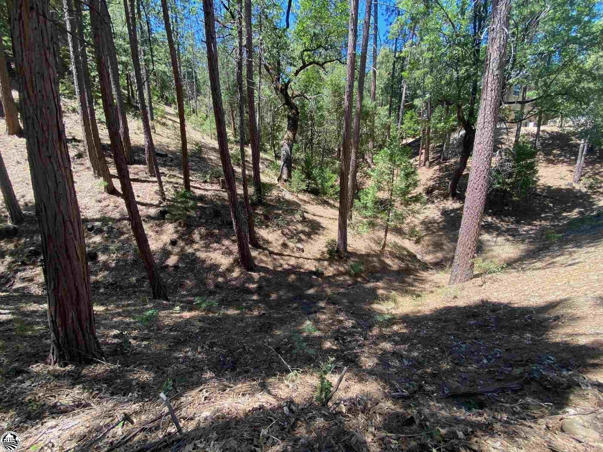 Groveland, Tuolumne County, CA Undeveloped Land, Homesites for sale