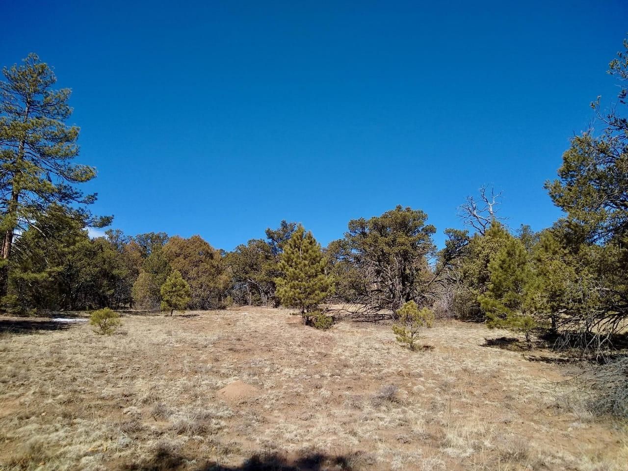 Texas Creek, Fremont County, CO Recreational Property, House for sale