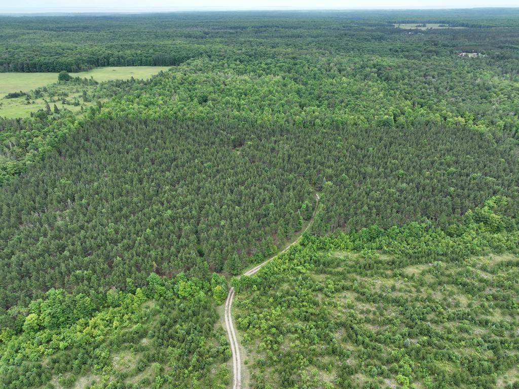 Gould City, Mackinac County, MI Recreational Property, Timberland