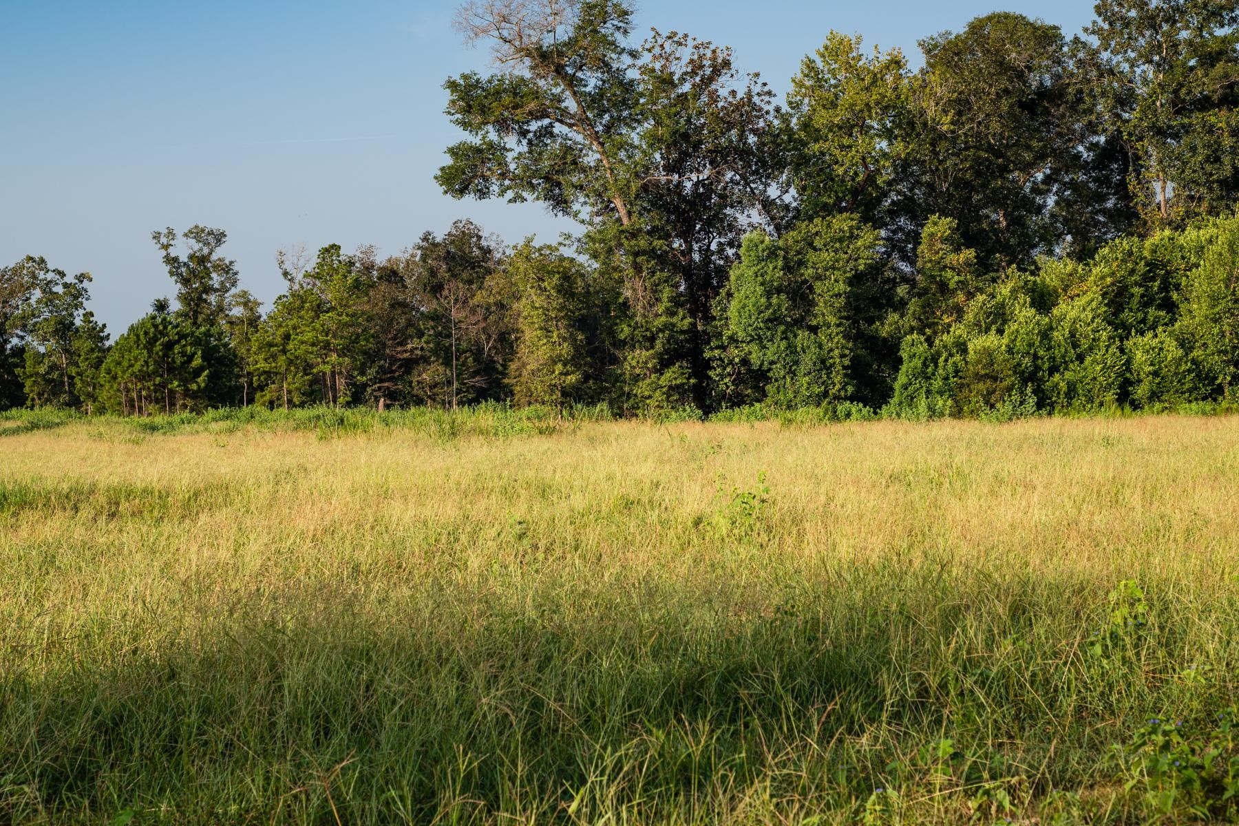 Clay Street, Attapulgus, GA 39815 LandWatch