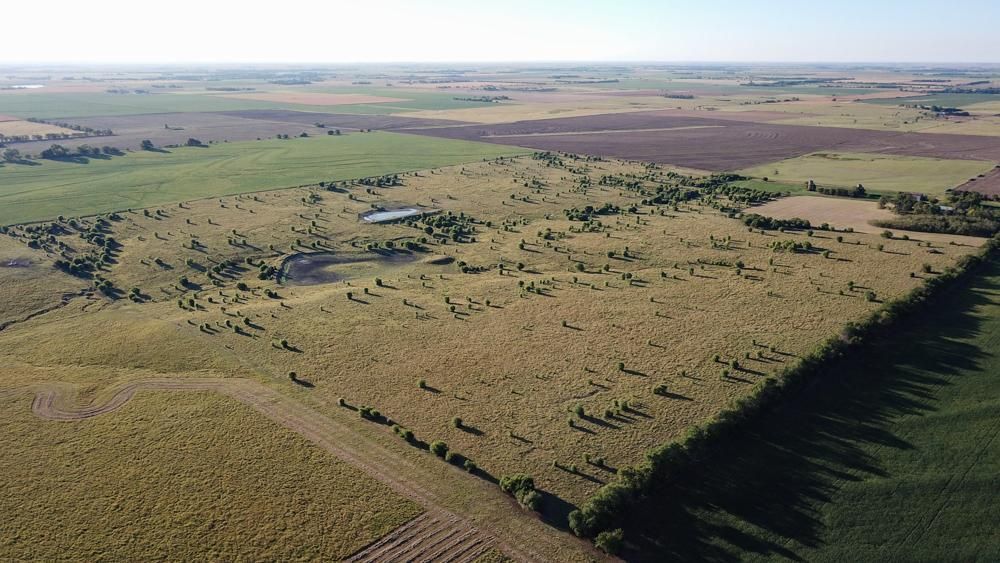 Herington, Marion County, KS Farms and Ranches, Recreational Property, Hunting Property for sale