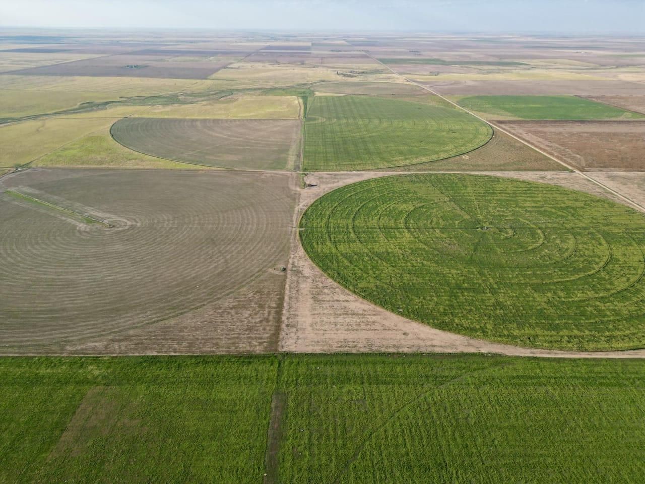 Granada, Prowers County, CO Farms and Ranches, Hunting Property for