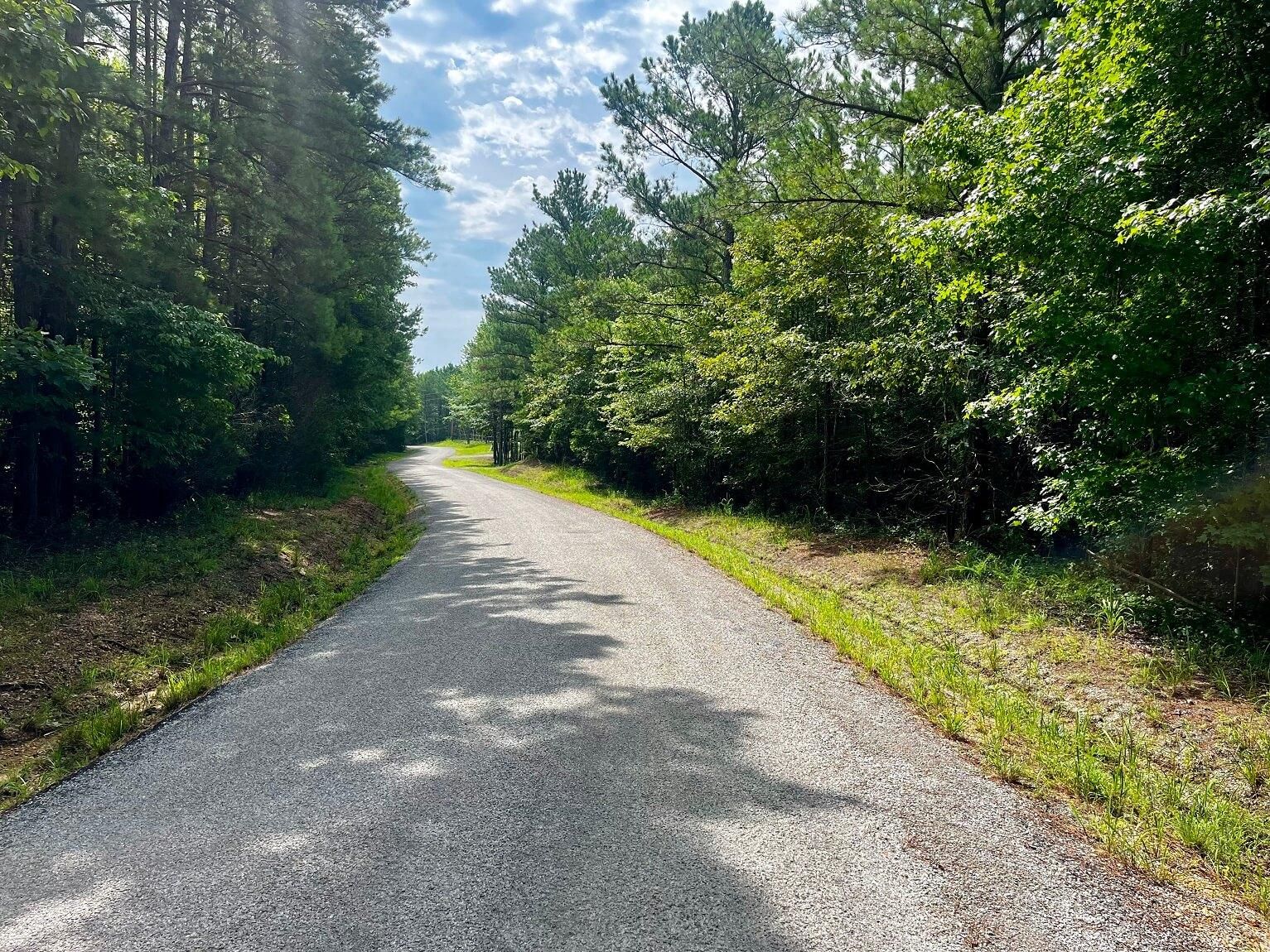 Guntown, Union County, MS Recreational Property, Undeveloped Land