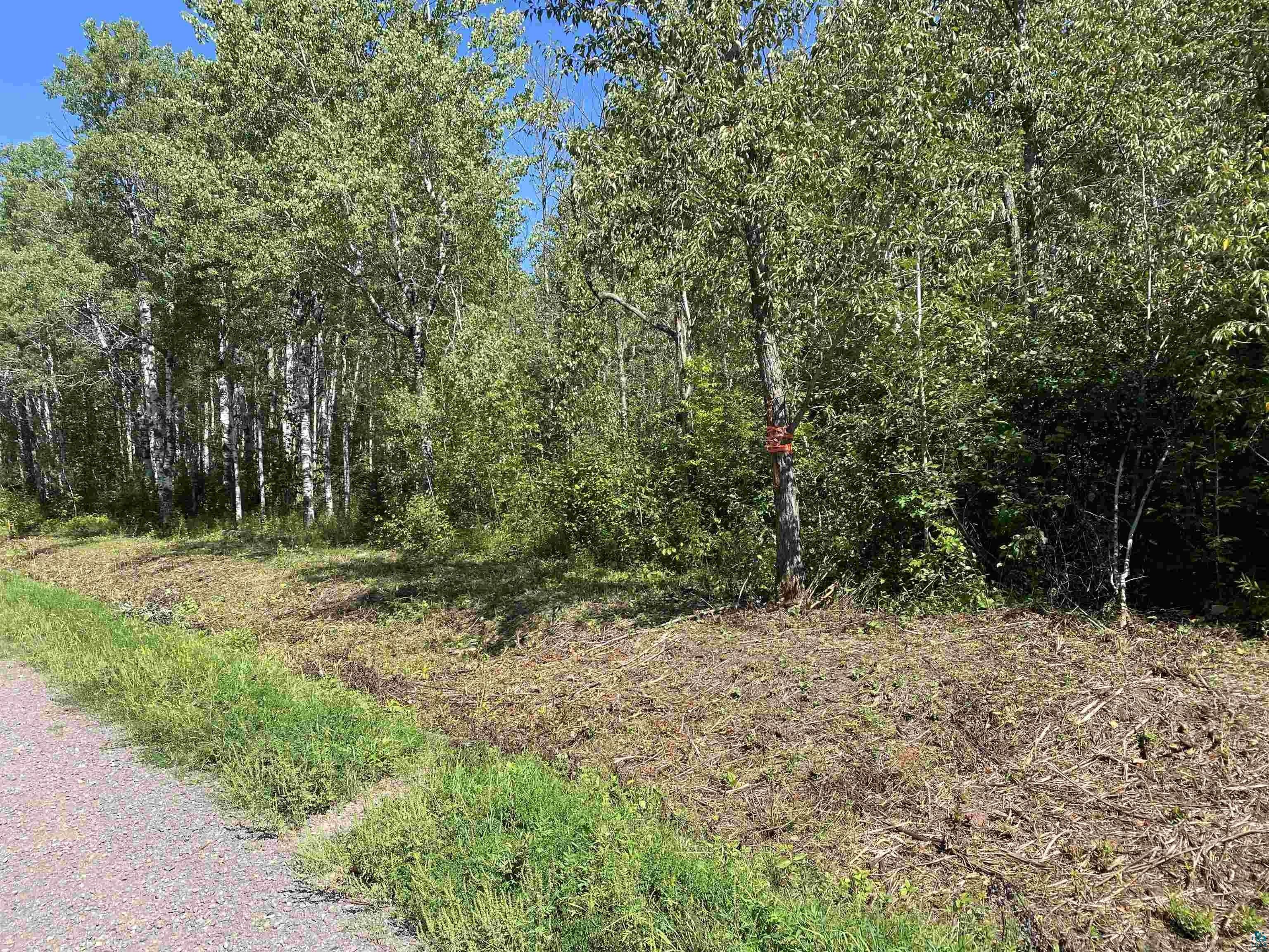 South Range, Douglas County, WI Undeveloped Land for sale Property ID