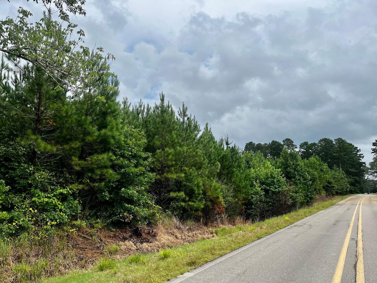 Baldwyn, Prentiss County, MS Recreational Property, Hunting Property