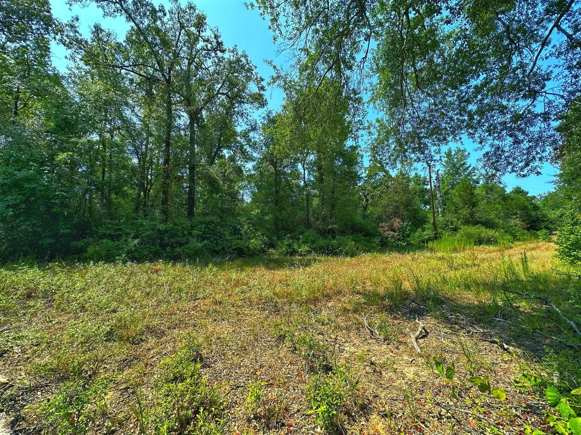 Centerville, Leon County, TX Recreational Property, Hunting Property