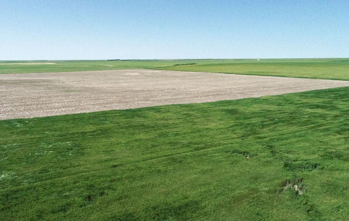 Otis, Washington County, CO Farms and Ranches, Undeveloped Land for