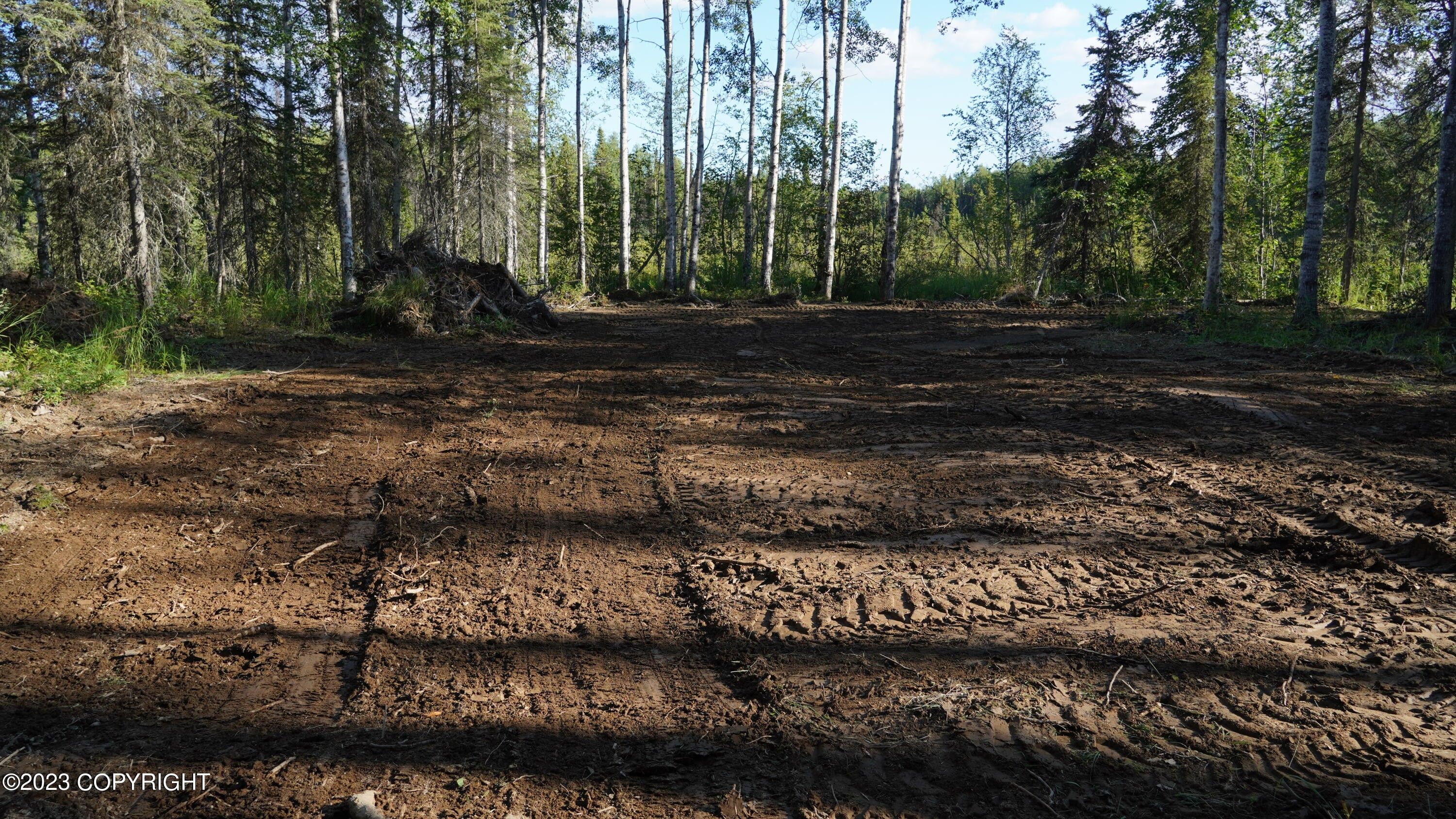 Willow, MatanuskaSusitna Borough, AK Undeveloped Land, Homesites for