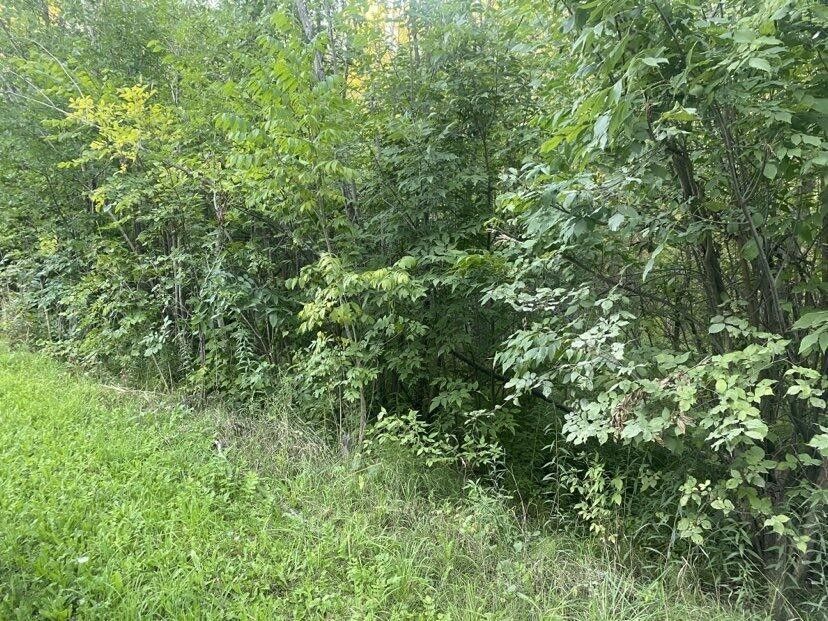 Alpena, Alpena County, MI Undeveloped Land for sale Property ID
