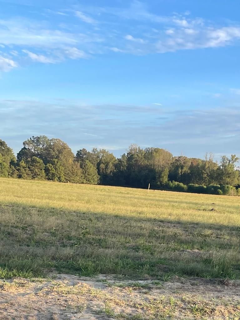 Vicksburg, Warren County, MS Undeveloped Land, Homesites for sale