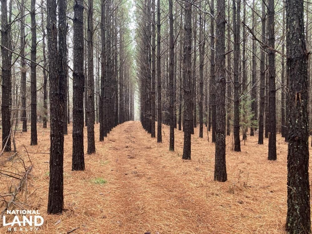 Richfield, Stanly County, NC Recreational Property, Hunting Property