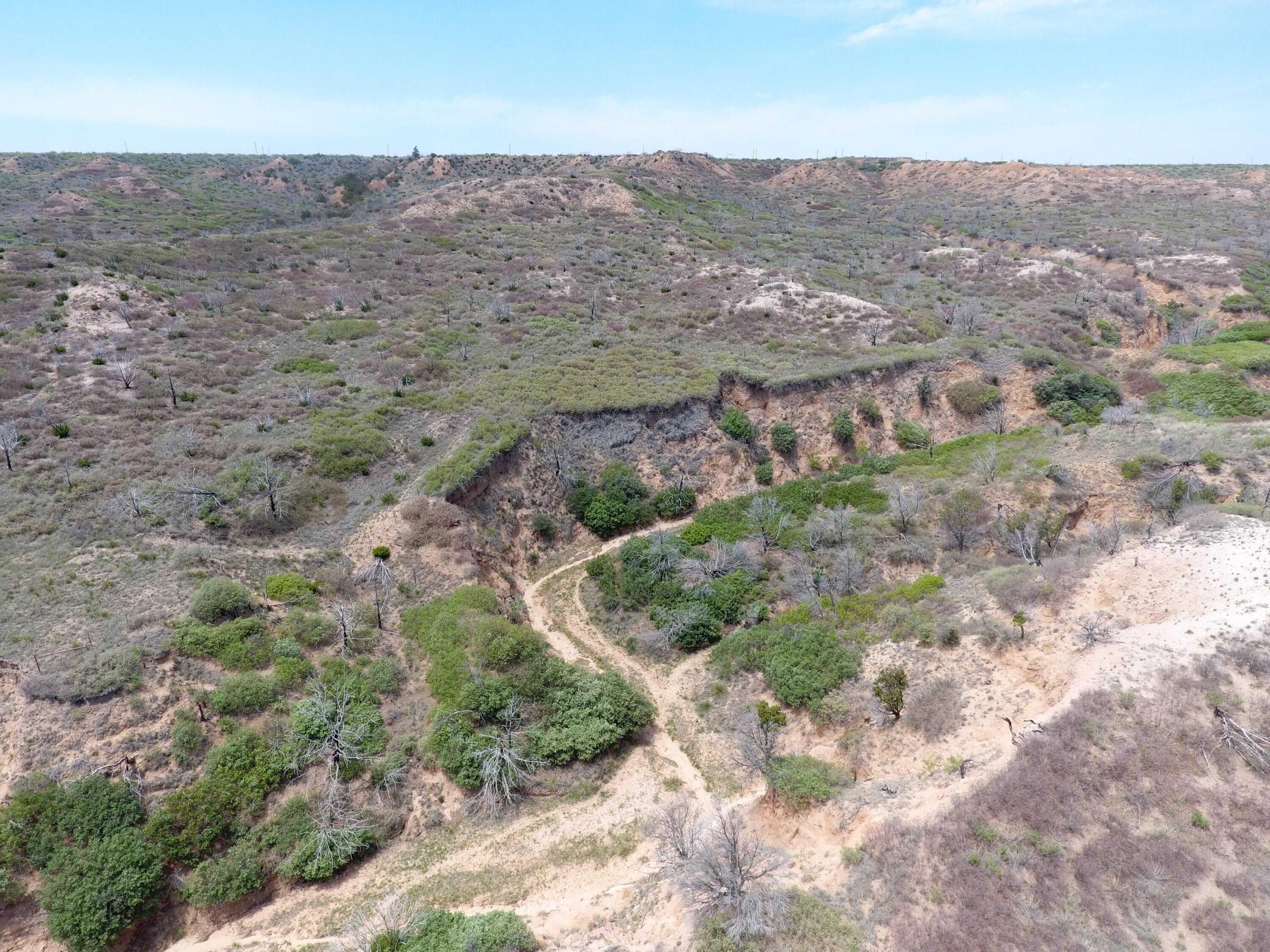 Claude, Armstrong County, TX Undeveloped Land for sale Property ID