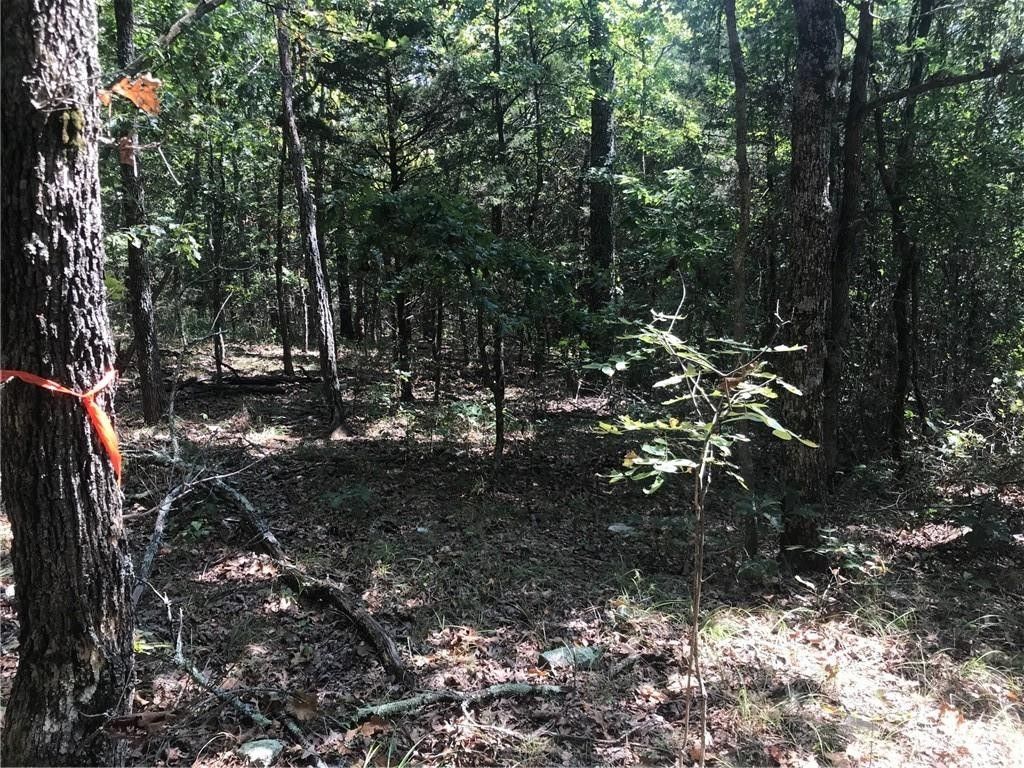 Elkins, Madison County, AR Undeveloped Land, Homesites for sale