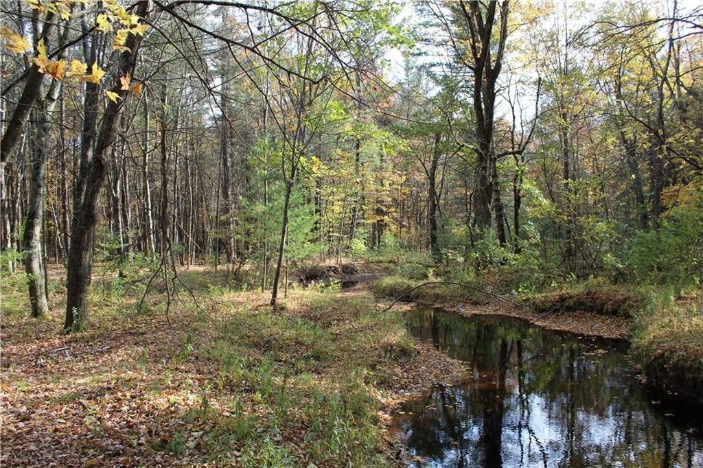 Neillsville, Clark County, WI Undeveloped Land, Lakefront Property