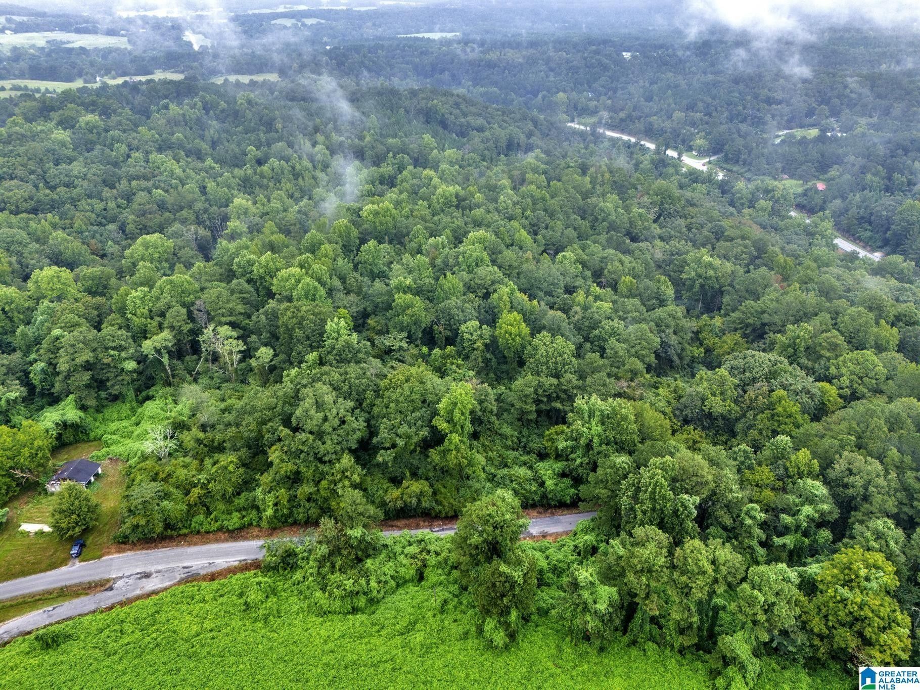 Oneonta, Blount County, AL Undeveloped Land for sale Property ID