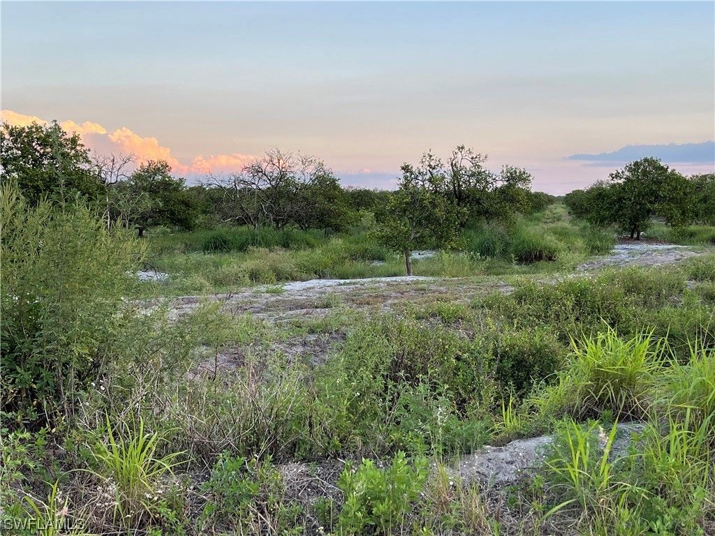 Labelle, Hendry County, FL Undeveloped Land, Lakefront Property