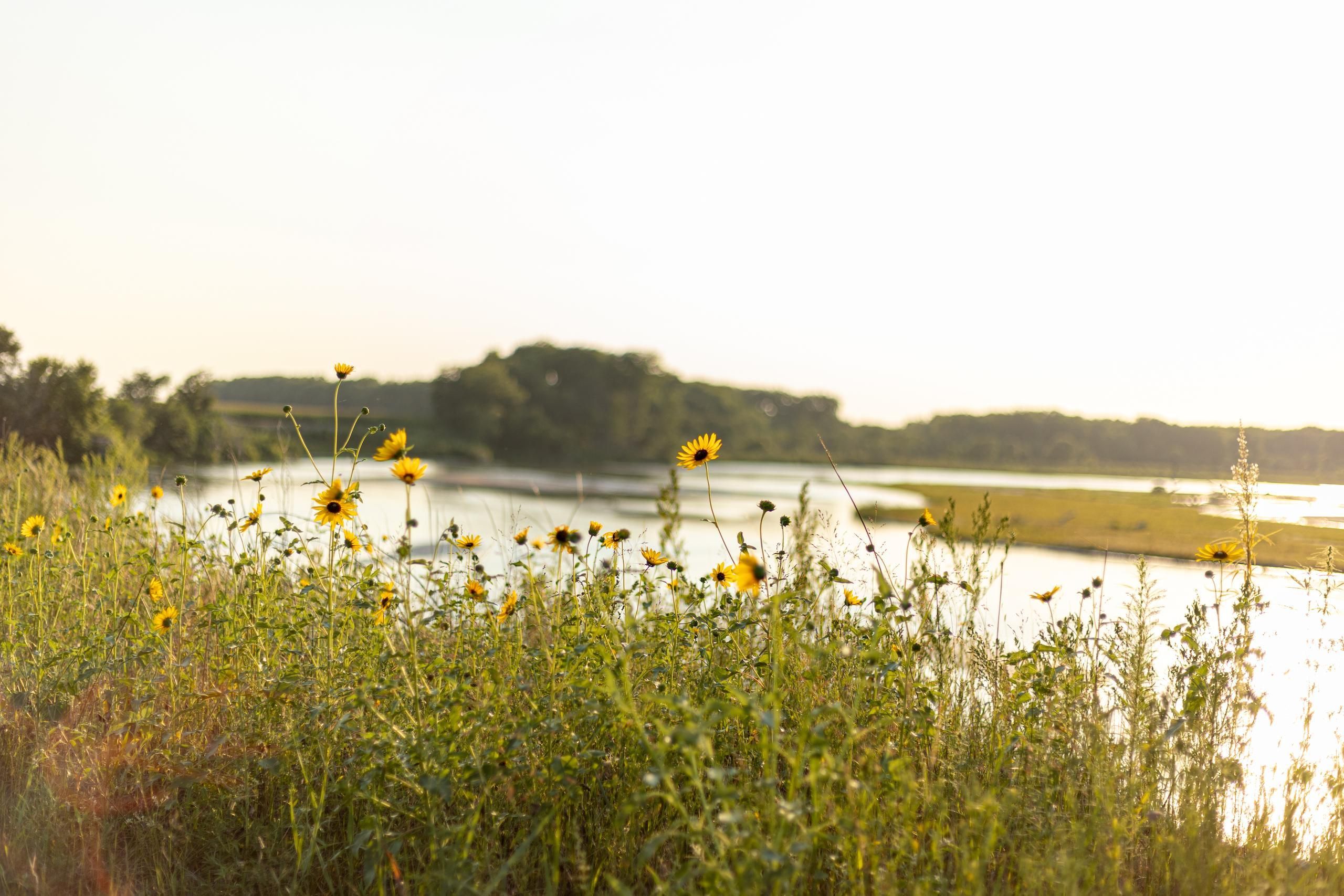 Dannebrog, Howard County, NE Recreational Property, Riverfront Property