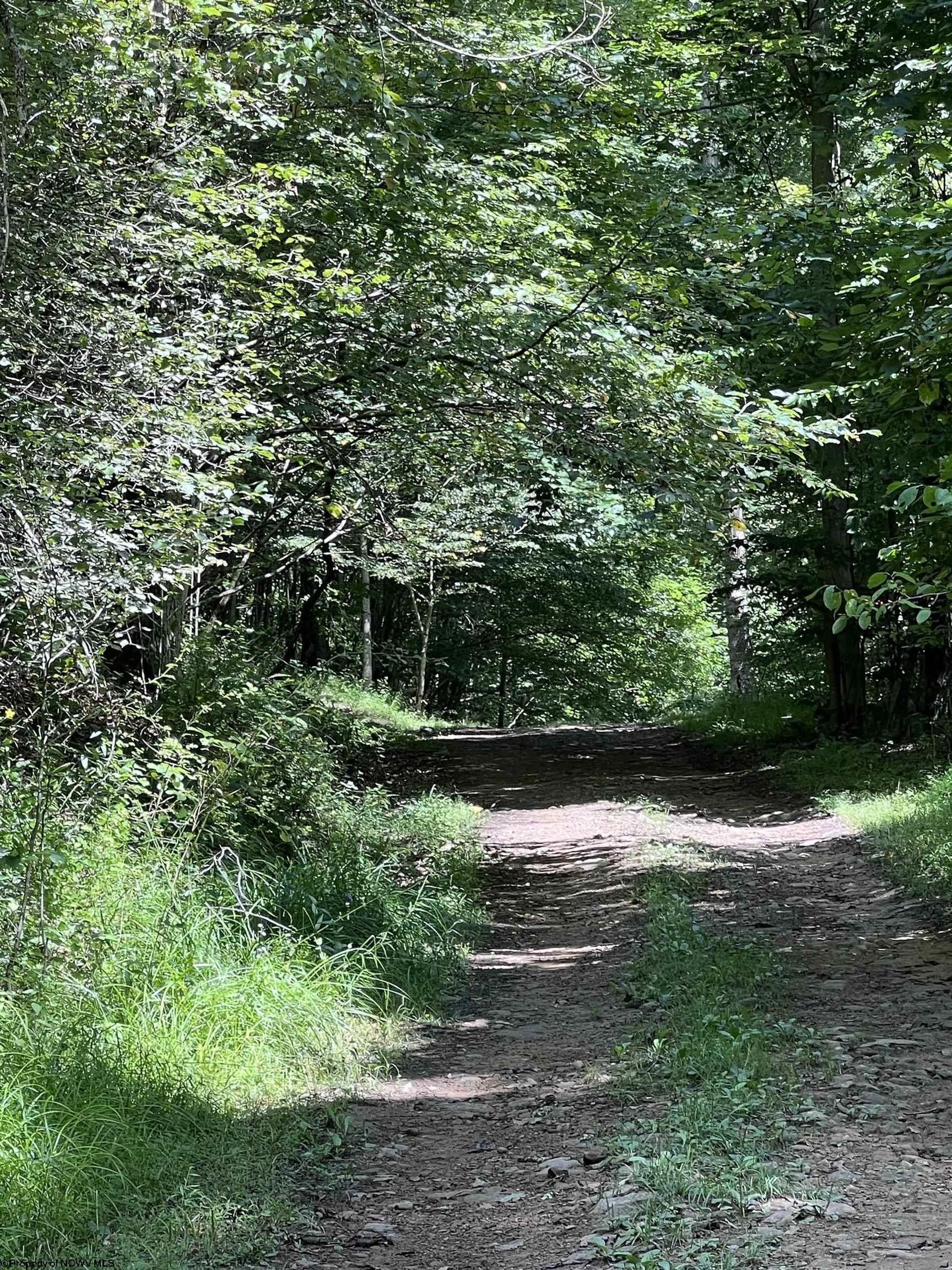 Grafton, Taylor County, WV Undeveloped Land for sale Property ID